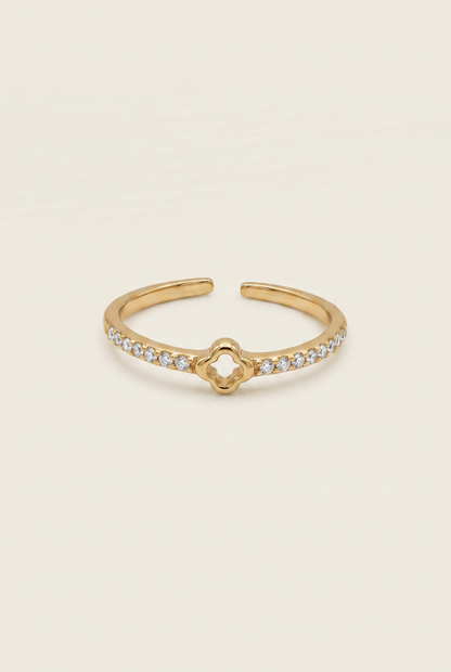 BAGUE ALYNE
