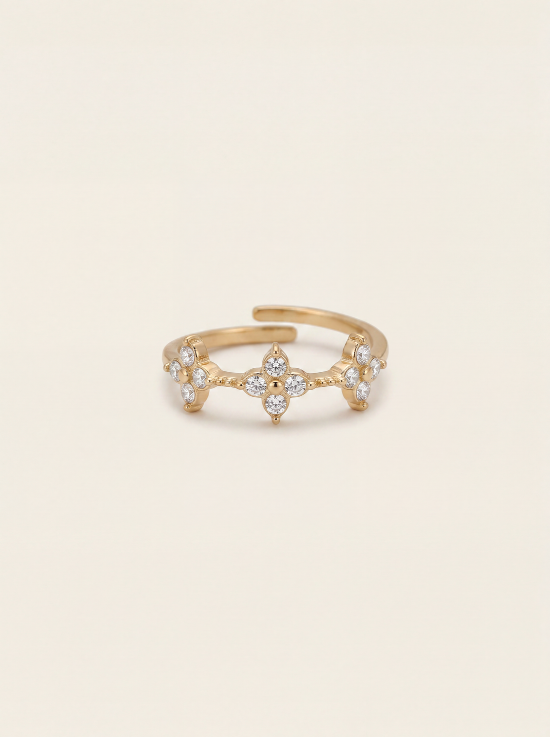 BAGUE MENCIA