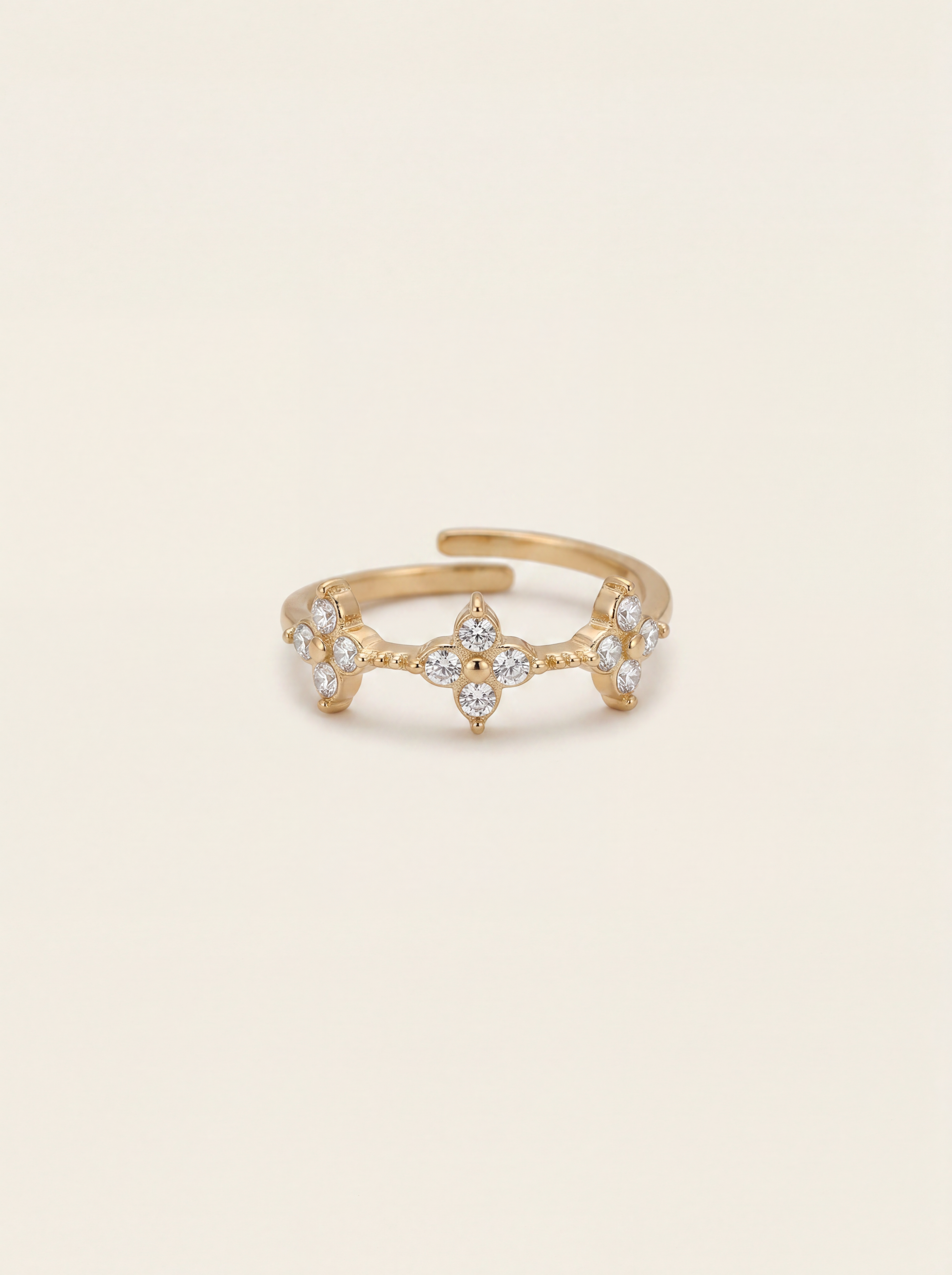 BAGUE MENCIA