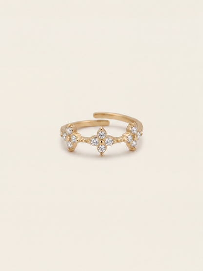 BAGUE MENCIA