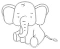 Bébé Éléphant